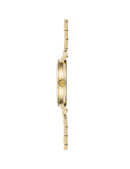 OBAKU | BRINK LILLE - PERLEMOR CIDER OBAKU | BRINK LILLE - PERLEMOR CIDER