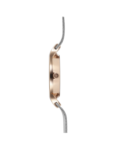 OBAKU | ENG - ROSE BI