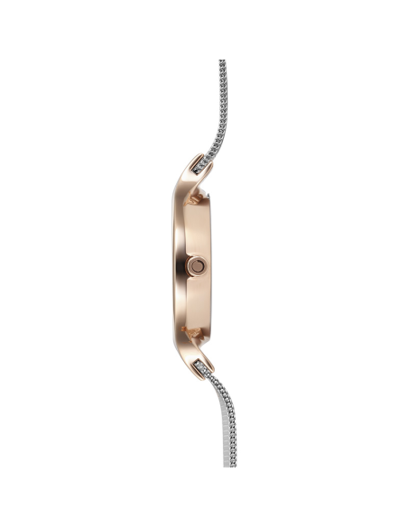 OBAKU | ENG - ROSE BI OBAKU | ENG - ROSE BI