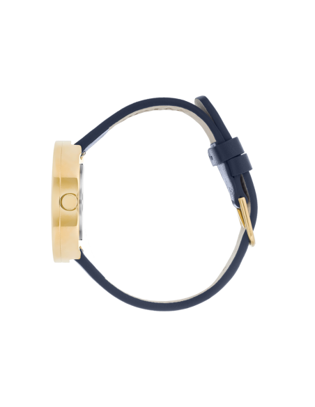 PICTO | 34 mm, cinnamon red dial, brushed gold bezel, midnight blue leather strap