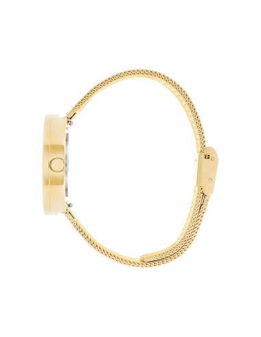 PICTO | 34 MM / CINNAMON RED DIAL / MATT GOLD MESH BAND