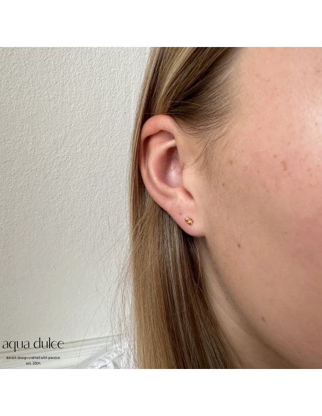 AQUA DULCE | Ørestikker | TINY ORANGE