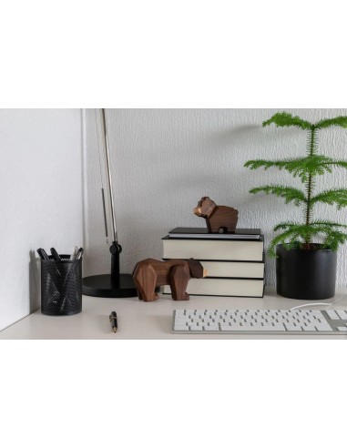 Fablewood | Den Lille Bjørn