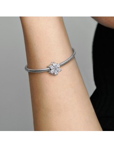 PANDORA | Funklende Herbarium Klynge charm 2