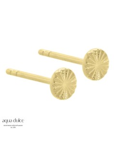 Aqua Dulce | Ørestikker | LINE COIN