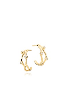 IZABEL CAMILLE | Vera - Øreringe Forgyldt