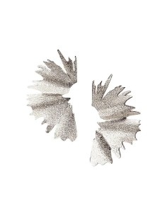 HEIRING | PHOENIX ØRESTIKKER RHODINERET