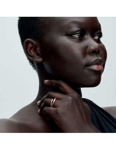 PANDORA | To-tonet sammenflettet båndring