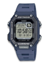 CASIO | Collection WS-B1000-2AVEF