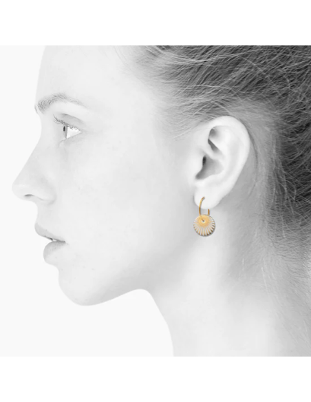 Scherning | SPLASH · GOLDEN