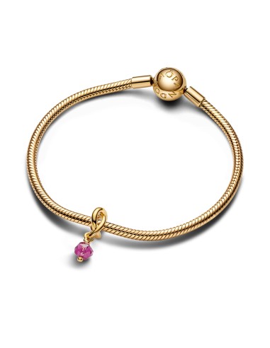 PANDORA | Oktober Facetteret Pink Evighedscirkel Charm med vedhæng