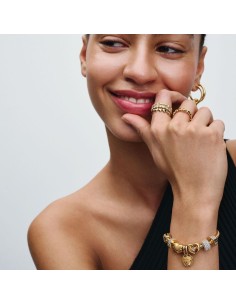 Pandora | Dobbelt Hjerte Charm med todelt vedhæng 2