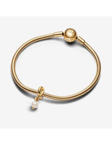 PANDORA | Juni Behandlet Ferskvandskulturperle Evighedscirkel Charm med vedhæng PANDORA | Juni Behandlet Ferskvandskulturperle Evighedscirkel Charm med vedhæng