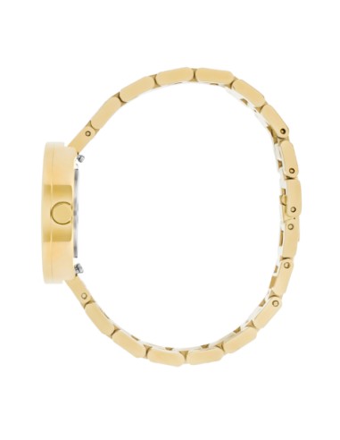 PICTO | Midnight Blue dial / Polished Gold Steel bracelet