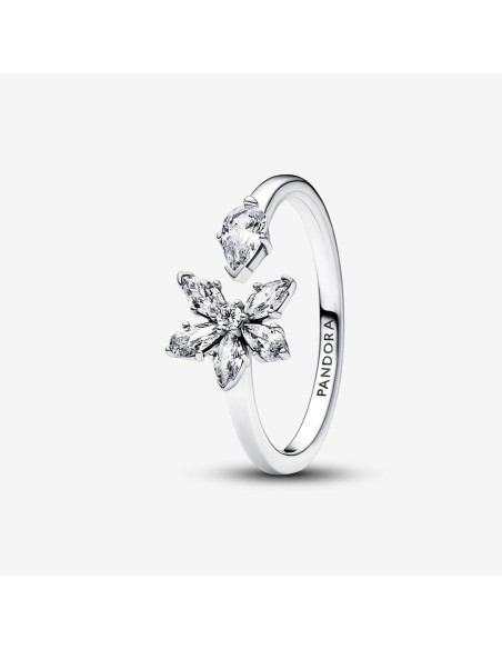 PANDORA | Funklende Herbarium Klyngering PANDORA | Funklende Herbarium Klyngering