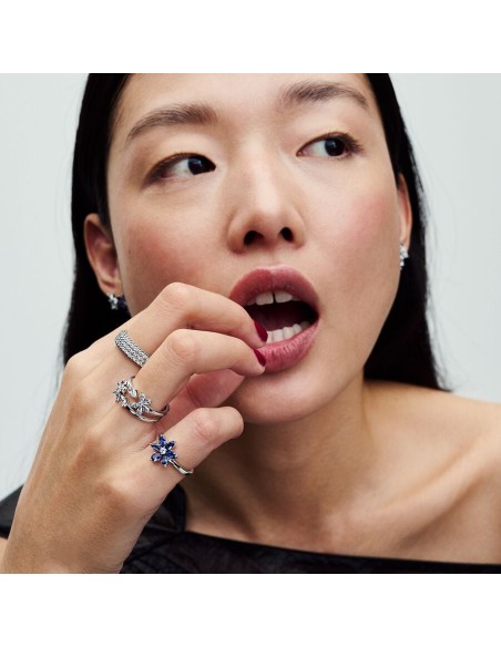 PANDORA | Funklende Herbarium Klyngering PANDORA | Funklende Herbarium Klyngering