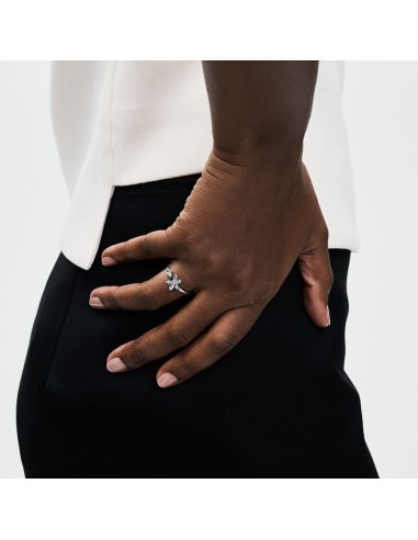 PANDORA | Funklende Herbarium Klyngering