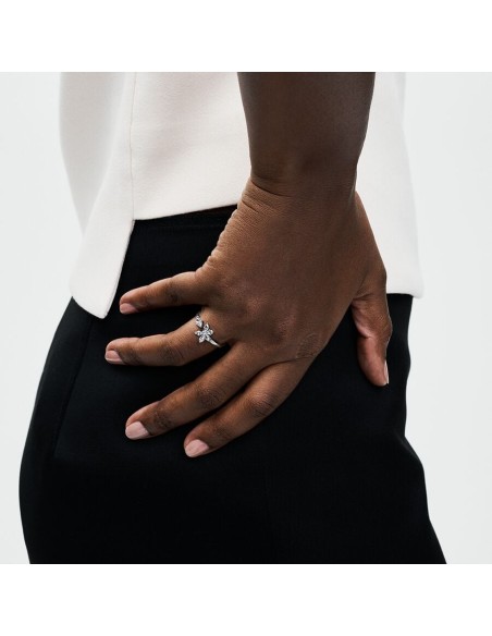 PANDORA | Funklende Herbarium Klyngering PANDORA | Funklende Herbarium Klyngering