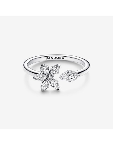 PANDORA | Funklende Herbarium Klyngering