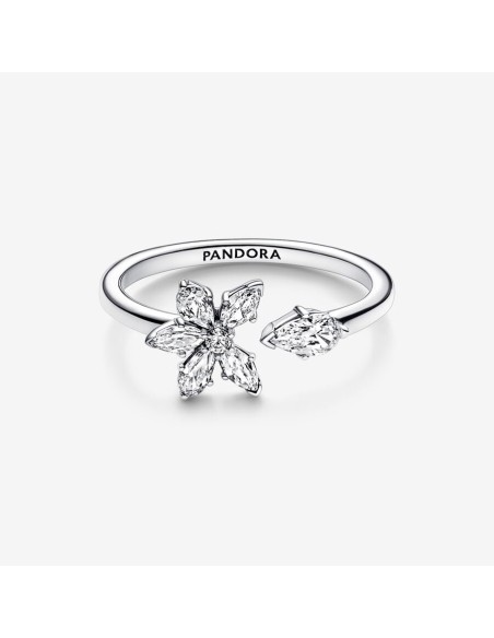 PANDORA | Funklende Herbarium Klyngering PANDORA | Funklende Herbarium Klyngering