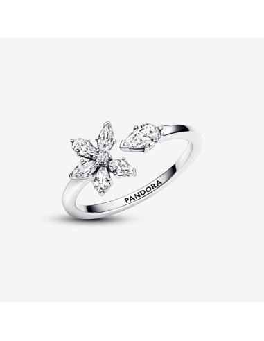 PANDORA | Funklende Herbarium Klyngering