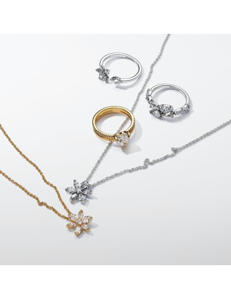 PANDORA | Funklende Herbarium Klyngering PANDORA | Funklende Herbarium Klyngering