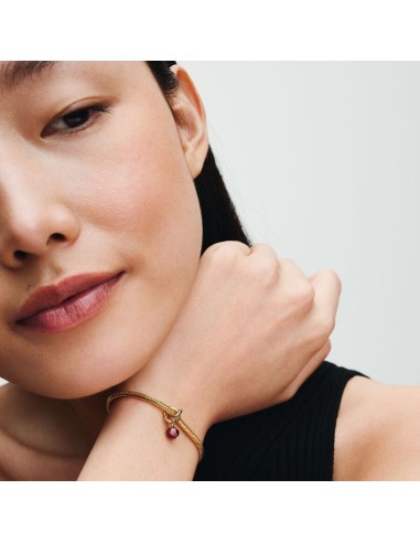 PANDORA | Januar Facetteret Rød Evighedscirkel Charm med vedhæng