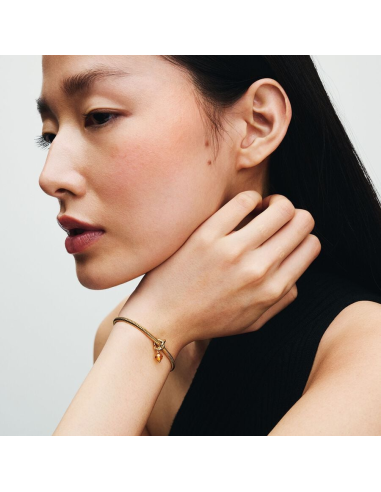 PANDORA | November Facetteret Honning Evighedscirkel Charm med vedhæng