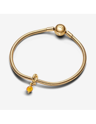 PANDORA | November Facetteret Honning Evighedscirkel Charm med vedhæng