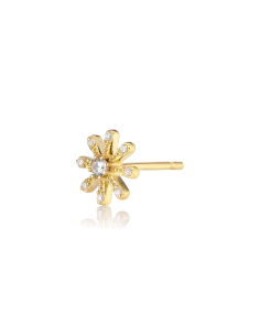 ALURA | Embrace C 01