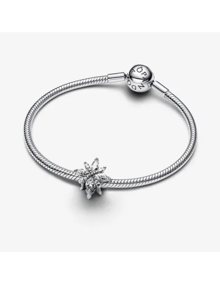 Pandora | Funklende Nordstjerne Charm Pandora | Funklende Nordstjerne Charm