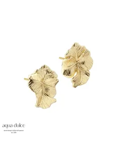 AQUA DULCE | FOLIO EARSTUD | GOLDEN