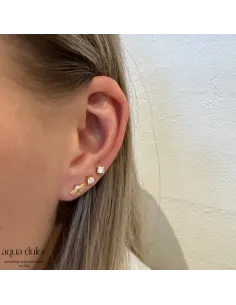 AQUA DULCE | KAYA FAN 2