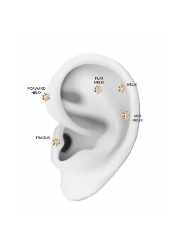 SISTIE 2ND | Line - Piercing forgyldt med zirkoner