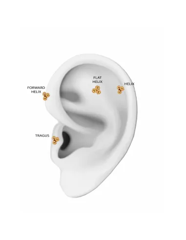 SISTIE 2ND | Tris - Piercing Forgyldt