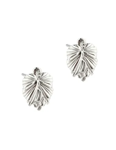 AQUA DULCE | Ørestikker | KOI BIG LEAF