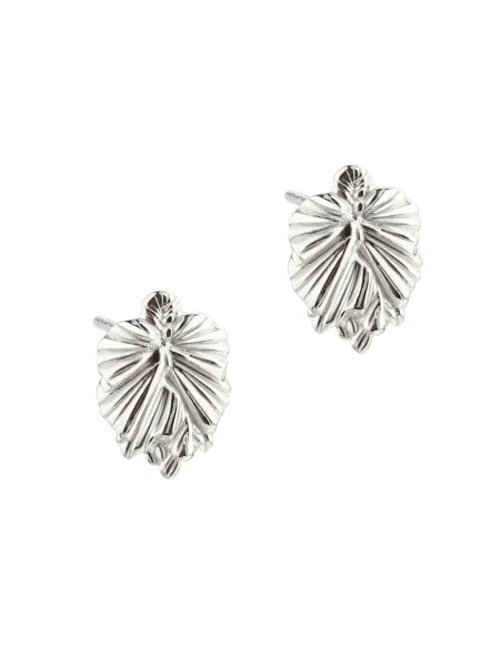 AQUA DULCE | Ørestikker | KOI BIG LEAF AQUA DULCE | Ørestikker | KOI BIG LEAF