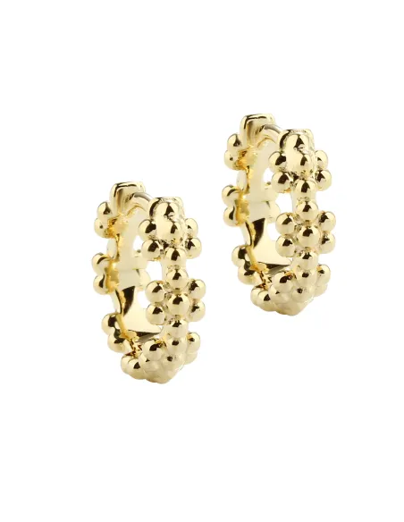 AQUA DULCE |  Hoops | LOTS OF FLOWERS 15 MM