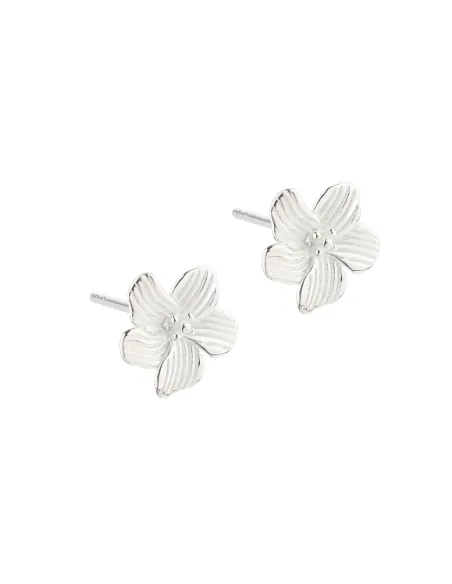 AQUA DULCE | Ørestikker | ANEMONE FLOWER