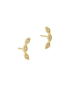 AQUA DULCE | FLOWERS UP THE EAR