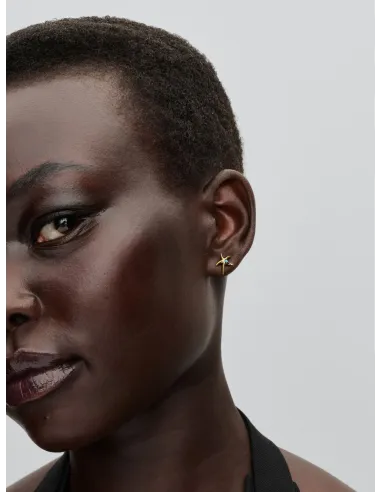 Pandora | Søstjerne Ørestikker 14 kt. guldbelægning