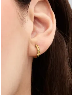 Pandora | Gule Krammeøreringe 14 kt. guldbelægning 2