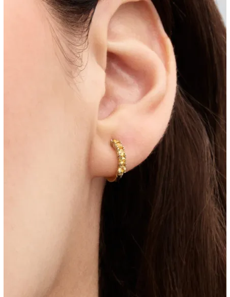 Pandora | Gule Krammeøreringe 14 kt. guldbelægning Pandora | Gule Krammeøreringe 14 kt. guldbelægning