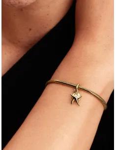 PANDORA | Søstjerne Dobbelt Charm med vedhæng 14 kt. guldbelægning 2