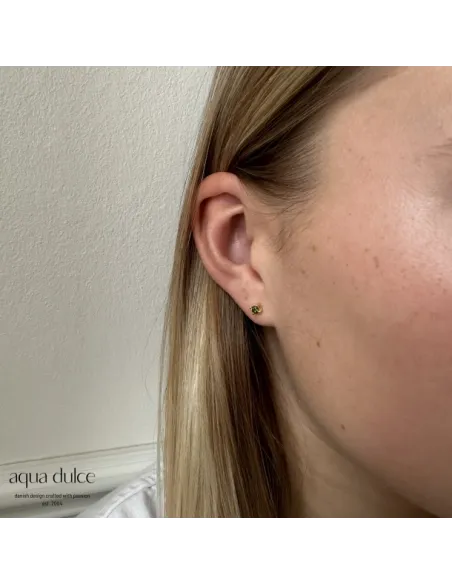 AQUA DULCE | BIG KAYA OLIVE | GOLDEN