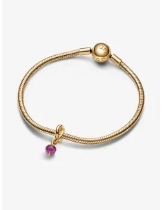 PANDORA | Febuar Facetteret Lilla Evighedscirkel Charm med vedhæng 14 kt. guldbelægning 2