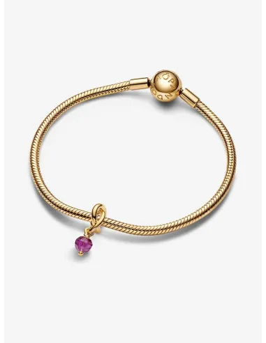 PANDORA | Febuar Facetteret Lilla Evighedscirkel Charm med vedhæng 14 kt. guldbelægning