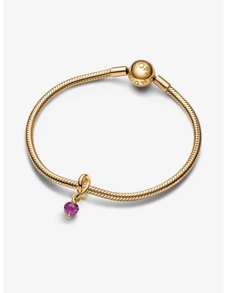 PANDORA | Febuar Facetteret Lilla Evighedscirkel Charm med vedhæng 14 kt. guldbelægning PANDORA | Febuar Facetteret Lilla Evighedscirkel Charm med vedhæng 14 kt. guldbelægning