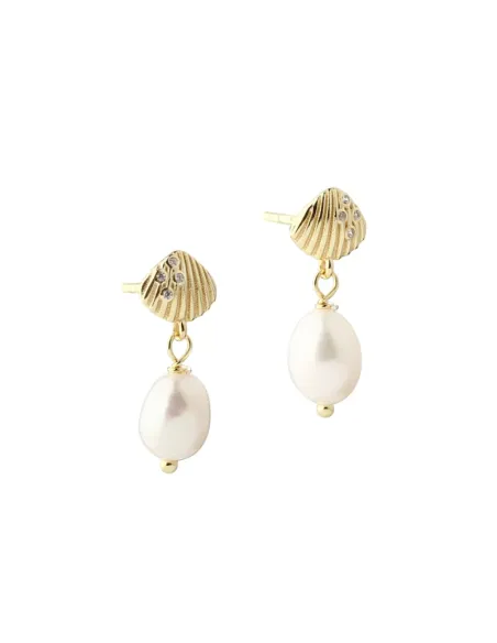 AQUA DULCE | SHELLY PEARL | GOLDEN AQUA DULCE | SHELLY PEARL | GOLDEN