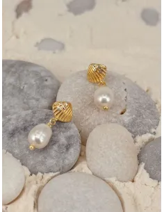 AQUA DULCE | SHELLY PEARL | GOLDEN 2